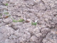 100_1693.jpg